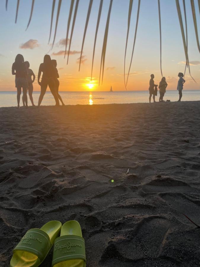 Sunset Appart, T2 Avec Vue Mer Et Plage A 1 Km Le Carbet Eksteriør bilde